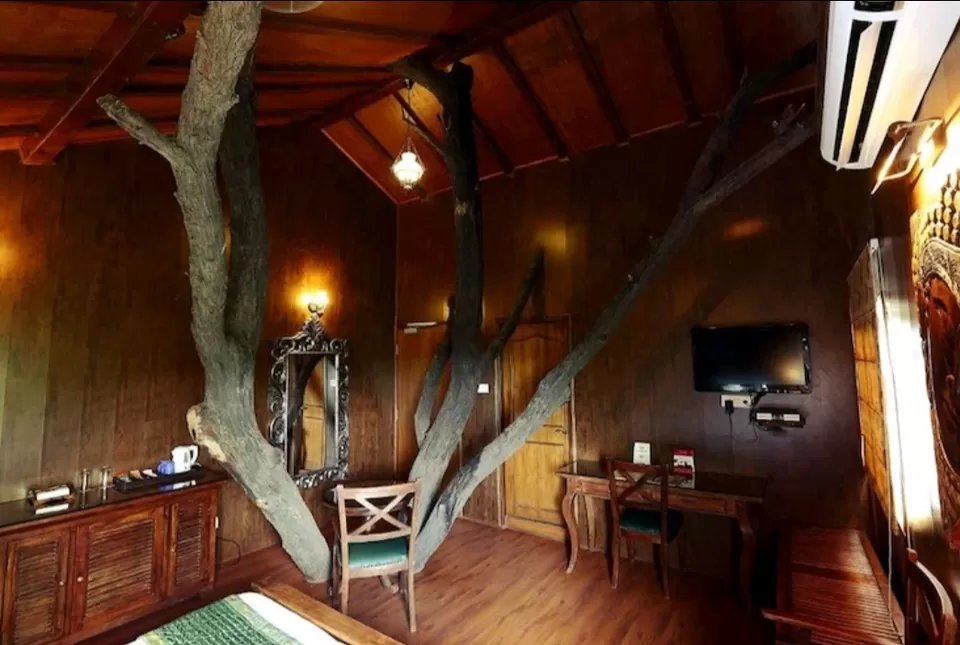 Photo of Reconnect with nature in its purest form - Enchanting aspects of staying in 🏡 TREEHOUSE RESORTS 🌲 by Shivani Chaturvedi