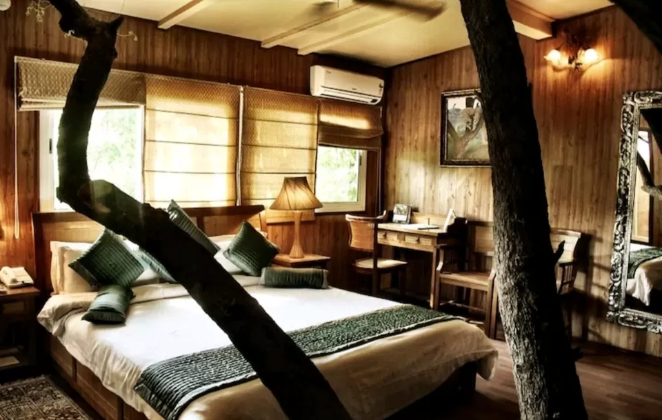 Photo of Reconnect with nature in its purest form - Enchanting aspects of staying in 🏡 TREEHOUSE RESORTS 🌲 by Shivani Chaturvedi
