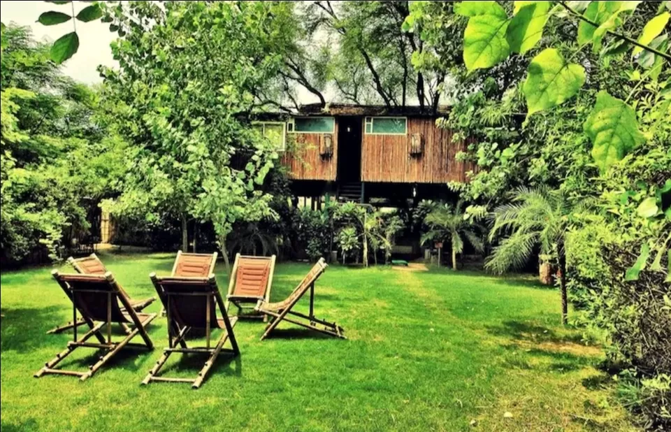 Photo of Reconnect with nature in its purest form - Enchanting aspects of staying in 🏡 TREEHOUSE RESORTS 🌲 by Shivani Chaturvedi