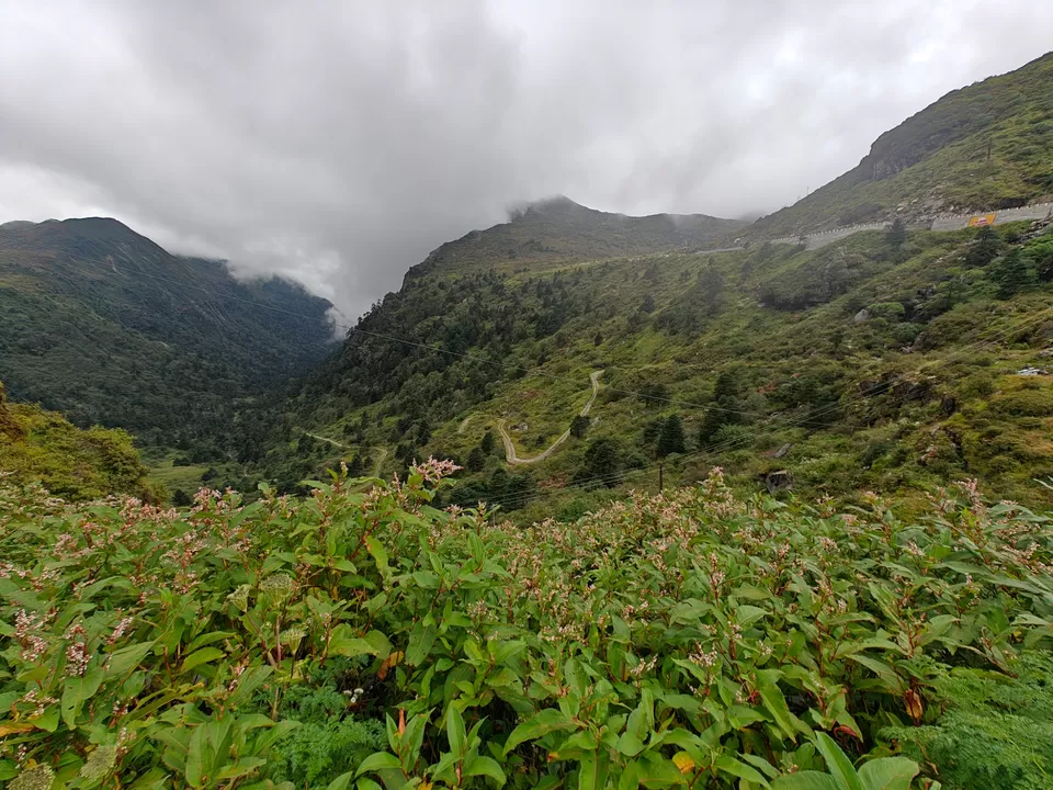 Photo of A Journey to Nathula Pass: Divine Beauty at 14,000 Feet by Shivani Chaturvedi