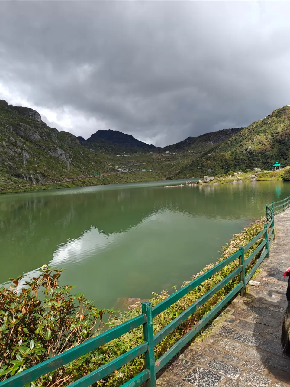 Photo of A Journey to Nathula Pass: Divine Beauty at 14,000 Feet by Shivani Chaturvedi