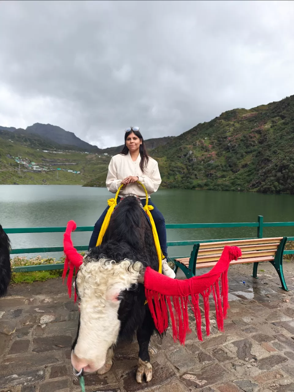 Photo of A Journey to Nathula Pass: Divine Beauty at 14,000 Feet by Shivani Chaturvedi