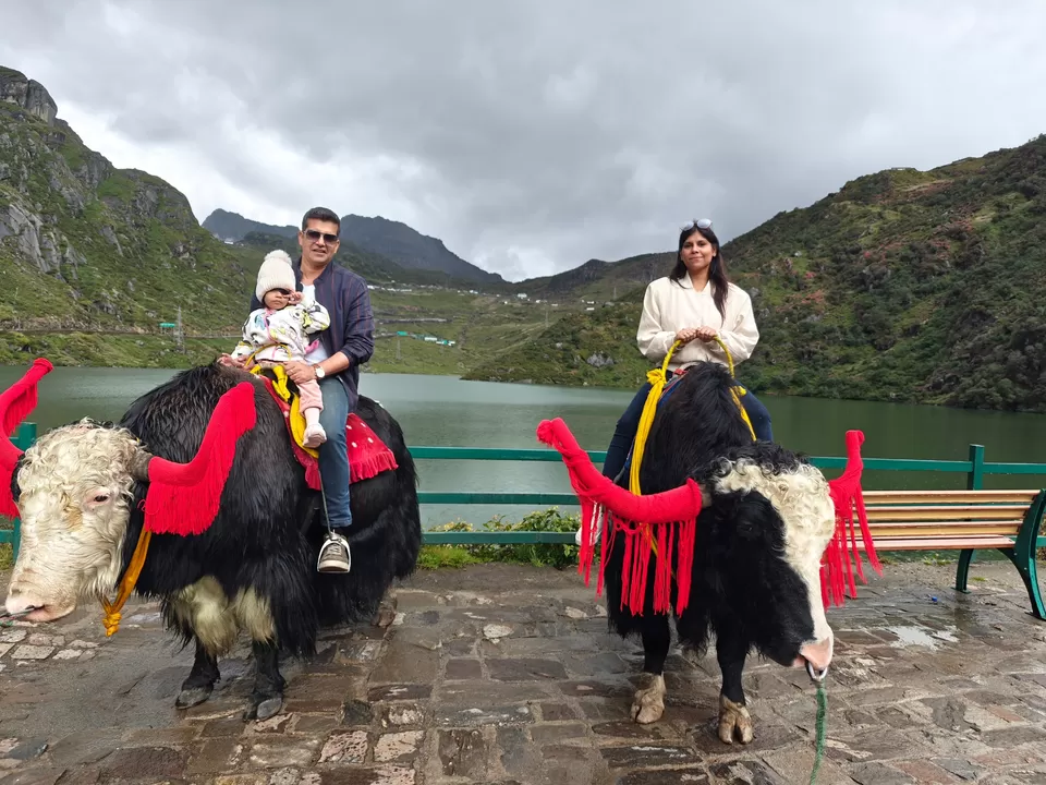 Photo of A Journey to Nathula Pass: Divine Beauty at 14,000 Feet by Shivani Chaturvedi