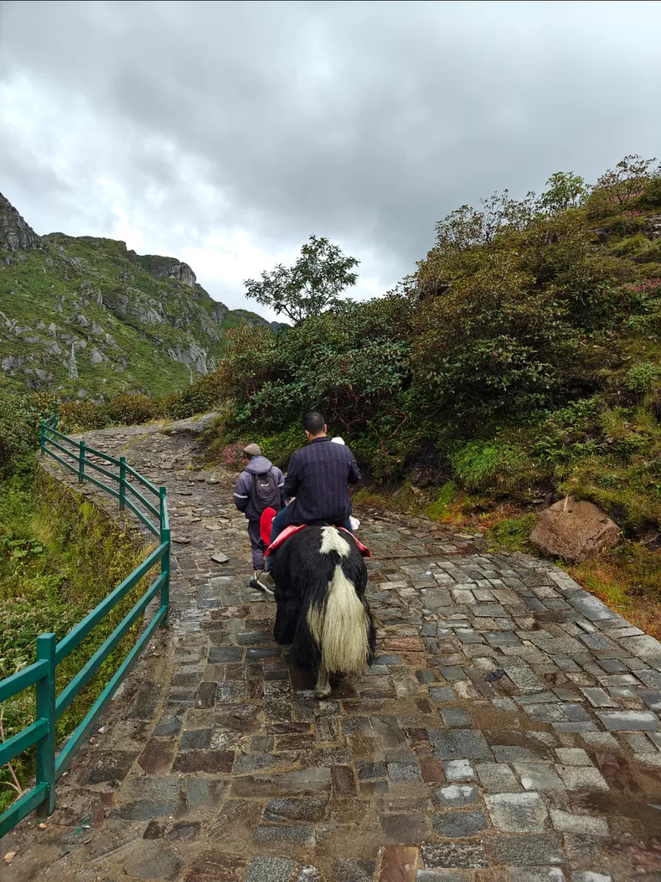 Photo of A Journey to Nathula Pass: Divine Beauty at 14,000 Feet by Shivani Chaturvedi