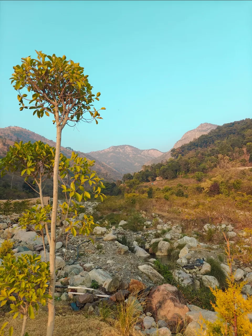Photo of Corbett Vanvaas Resort by Shivani Chaturvedi
