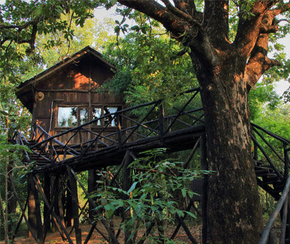 Photo of Reconnect with nature in its purest form - Enchanting aspects of staying in 🏡 TREEHOUSE RESORTS 🌲 by Shivani Chaturvedi