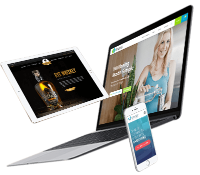 Photo of Pick a Specialist Web Design Company as well as Avoid Amateur Pitfalls 1/1 by Yexxs US