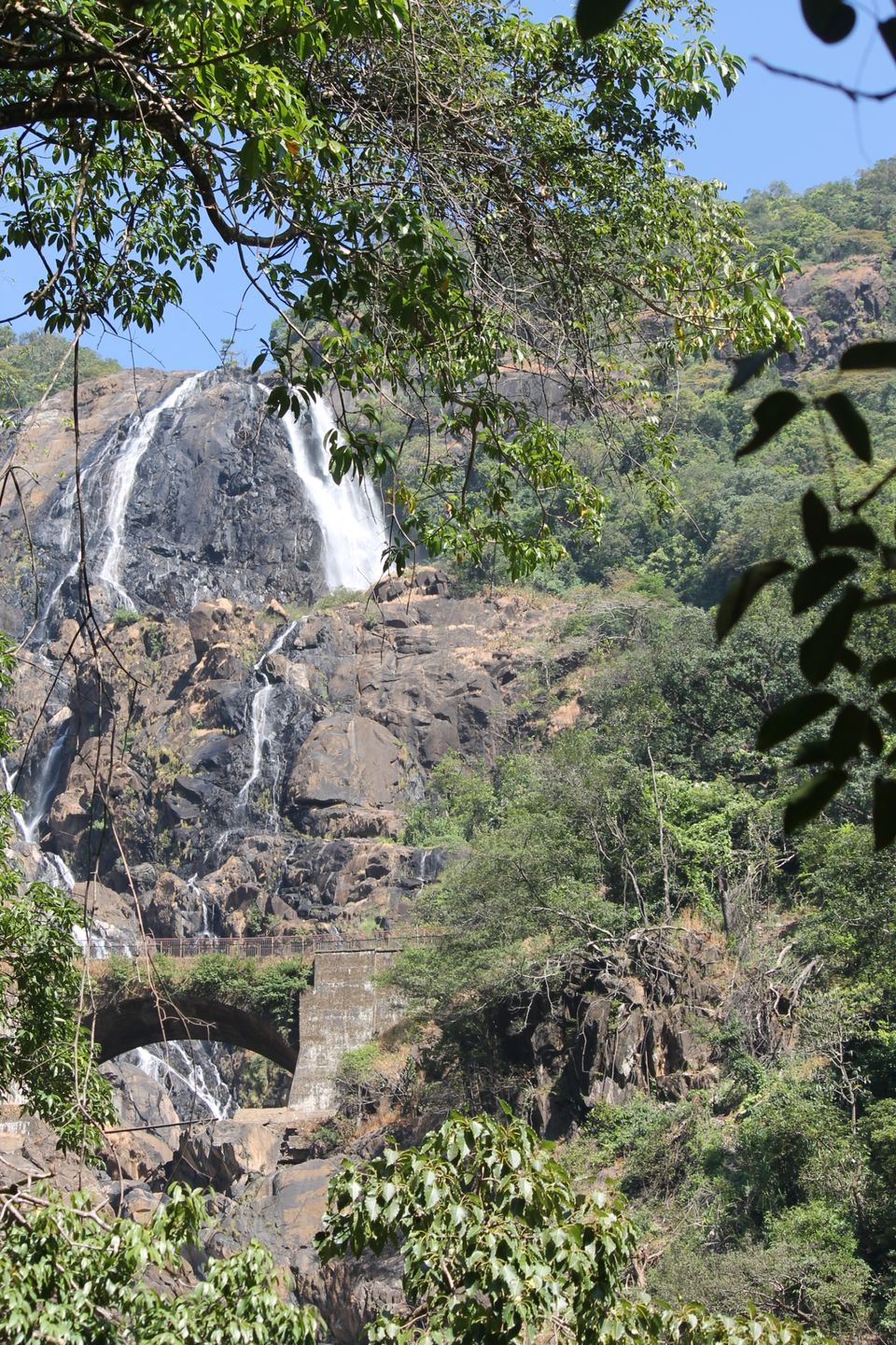 Photo of Doodhsagar waterfall, DoodhSagar Waterfalls Trail, Sonaulim, Goa, India by Deepak Kumar Jha
