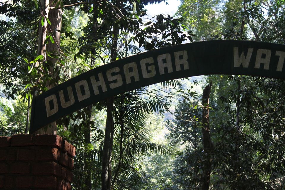 Photo of Doodhsagar waterfall, DoodhSagar Waterfalls Trail, Sonaulim, Goa, India by Deepak Kumar Jha