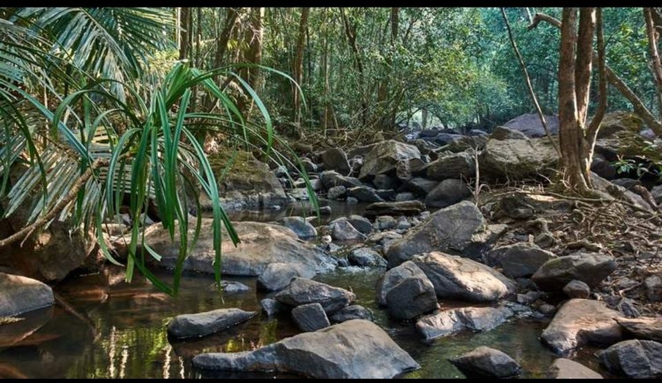 Photo of Doodhsagar waterfall, DoodhSagar Waterfalls Trail, Sonaulim, Goa, India by Deepak Kumar Jha