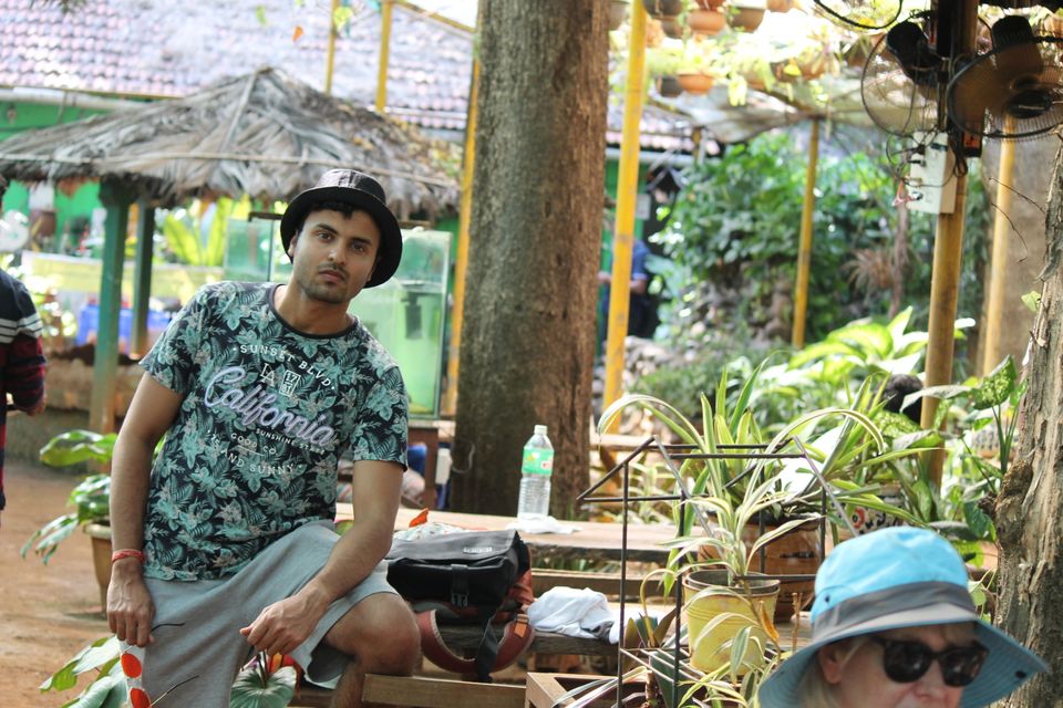 Photo of Tropical Spice Plantation, Kerim, Goa, India by Deepak Kumar Jha