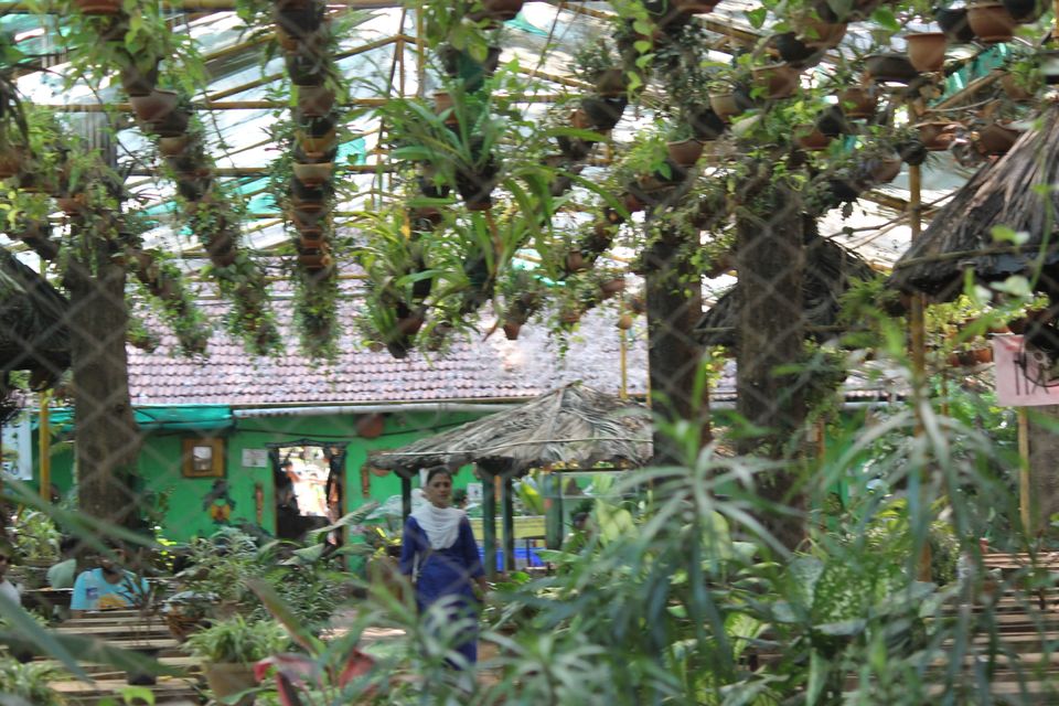 Photo of Tropical Spice Plantation, Kerim, Goa, India by Deepak Kumar Jha
