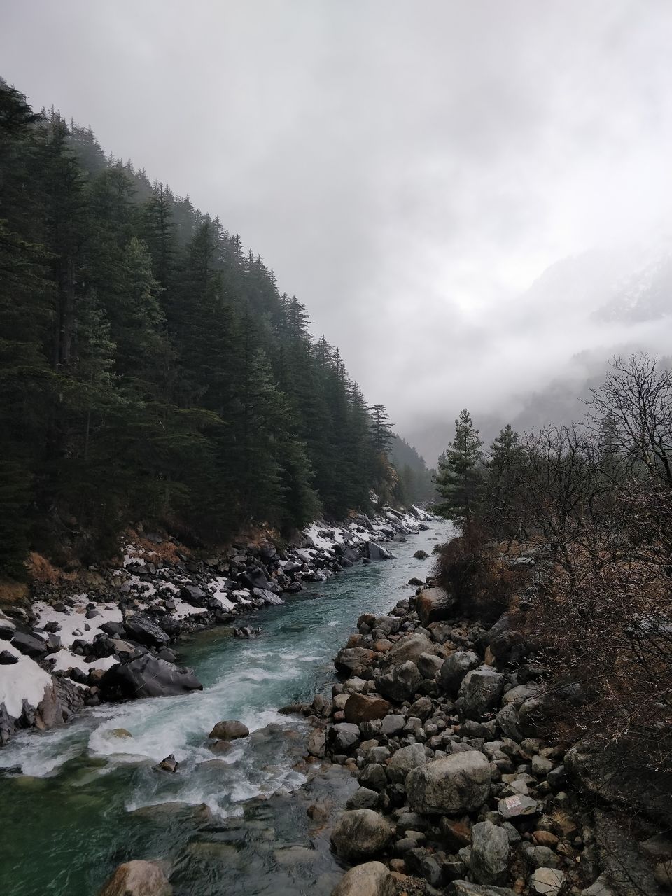 Photo of Journey of a lifetime. PUNE- Dehradun- Uttarakashi- Harshil valley by Ashish Dhaundiyal