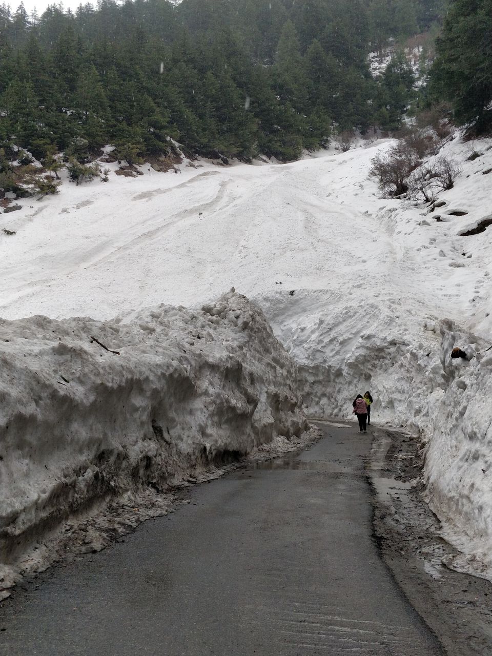 Photo of Journey of a lifetime. PUNE- Dehradun- Uttarakashi- Harshil valley by Ashish Dhaundiyal