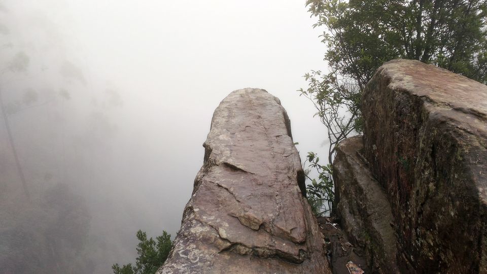 Photo of Vattakanal, Kodaikanal, Tamil Nadu, India by Karishma Mayur