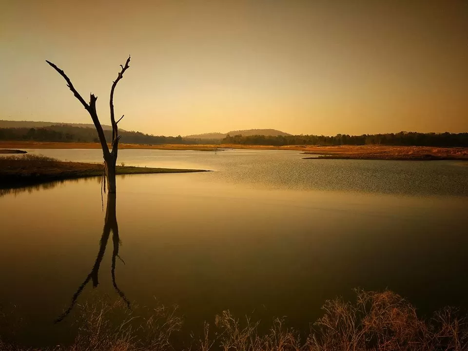 Photo of Pench National Park, Nagpur, Maharashtra, India by Sheetal Vibhuti escapingsoul.in
