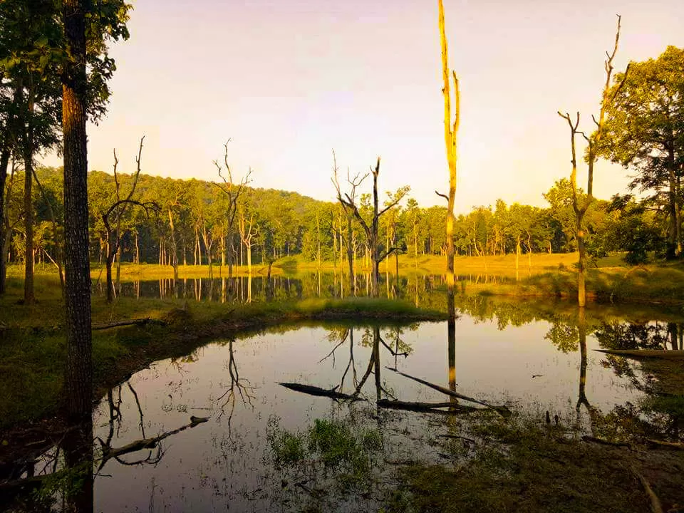 Photo of Pench National Park, Nagpur, Maharashtra, India by Sheetal Vibhuti escapingsoul.in