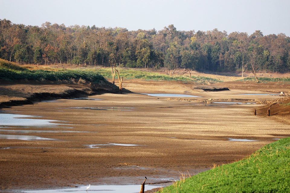 Photo of Take a Virtual tour to Mowgli's land -Pench National Park 26/30 by Sheetal Vibhuti escapingsoul.in