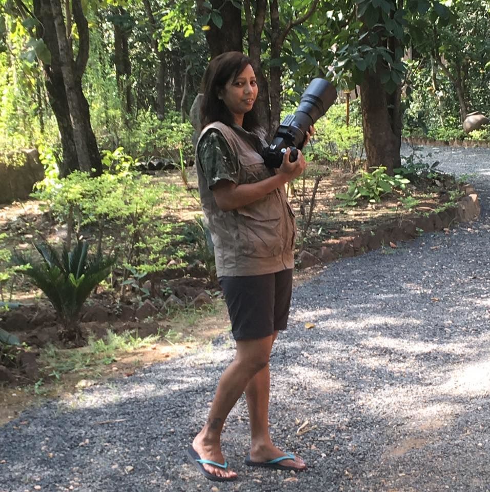 Photo of Take a Virtual tour to Mowgli's land -Pench National Park 29/30 by Sheetal Vibhuti escapingsoul.in
