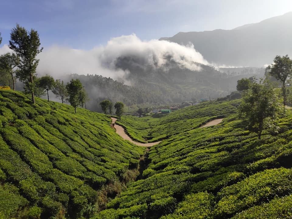 Photo of Kodaikanal, Tamil Nadu, India by Sheetal Vibhuti escapingsoul.in