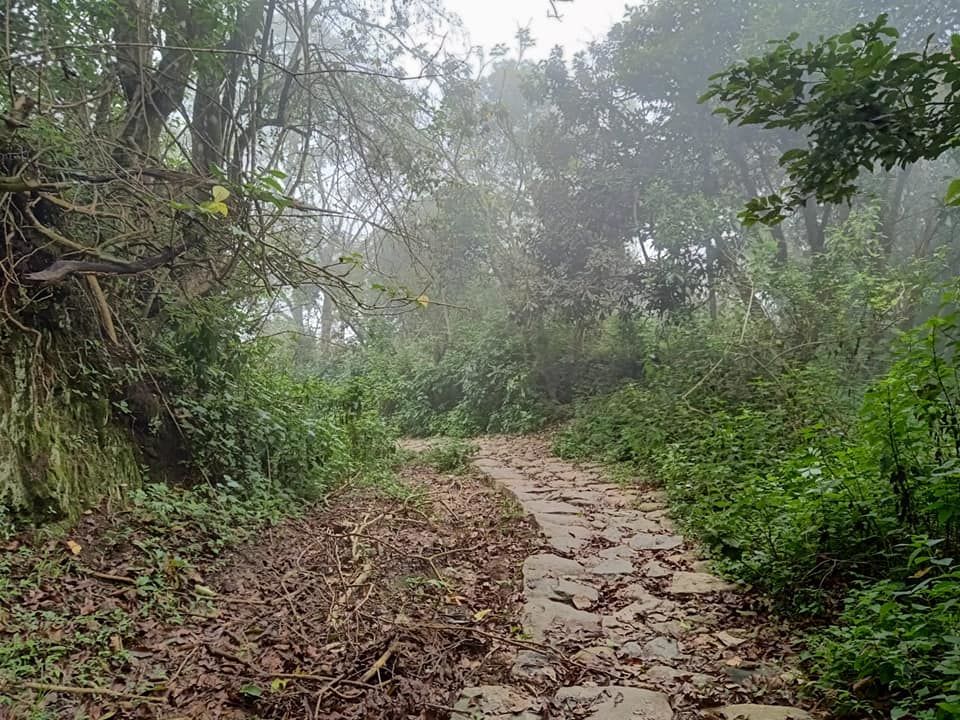 Photo of Kodaikanal, Tamil Nadu, India by Sheetal Vibhuti escapingsoul.in
