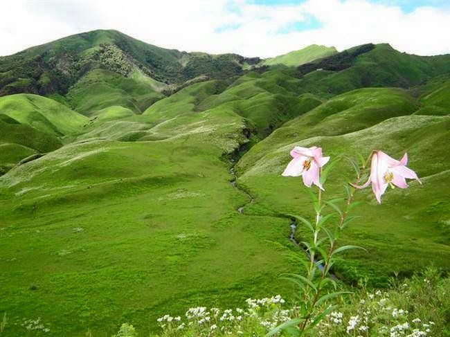 Photo of Dzükou Valley Trek, Kohima, Nagaland, India by Sheetal Vibhuti escapingsoul.in