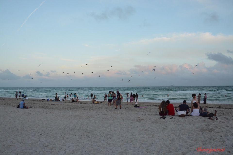 Photo of Trip to Florida !! 16/18 by Shweta Roy