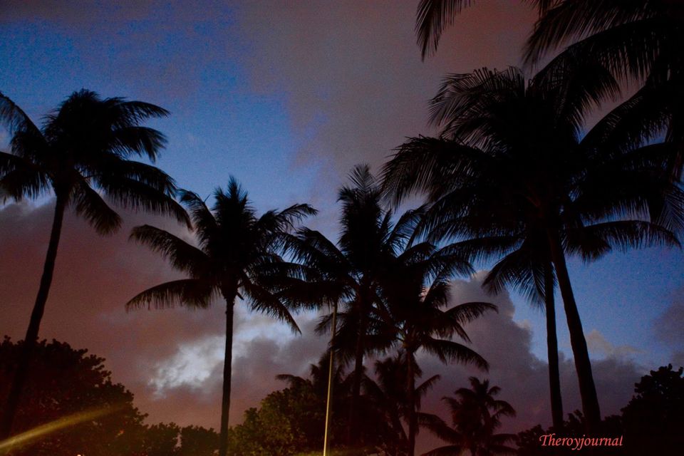 Photo of Trip to Florida !! 17/18 by Shweta Roy