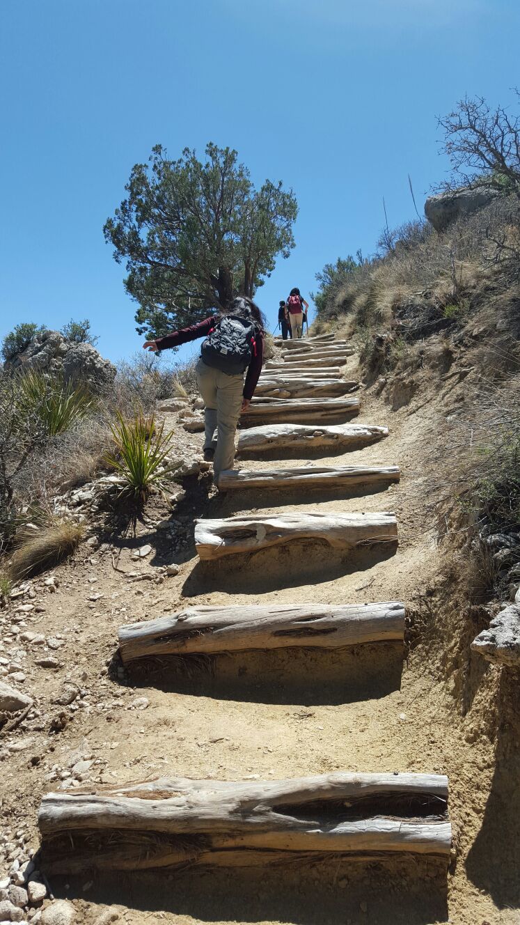 Photo of Guadalupe Mountain National Park-- trekking up to the topmost point of Texas. 3/12 by Shweta Roy