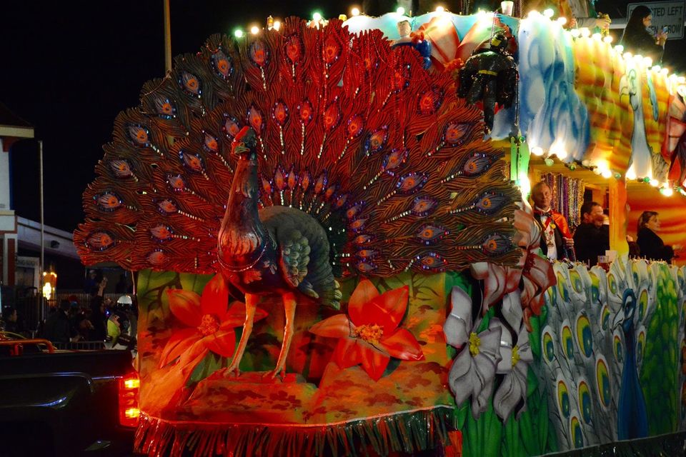 Photo of Galveston Mardi Gras! 6/9 by Shweta Roy