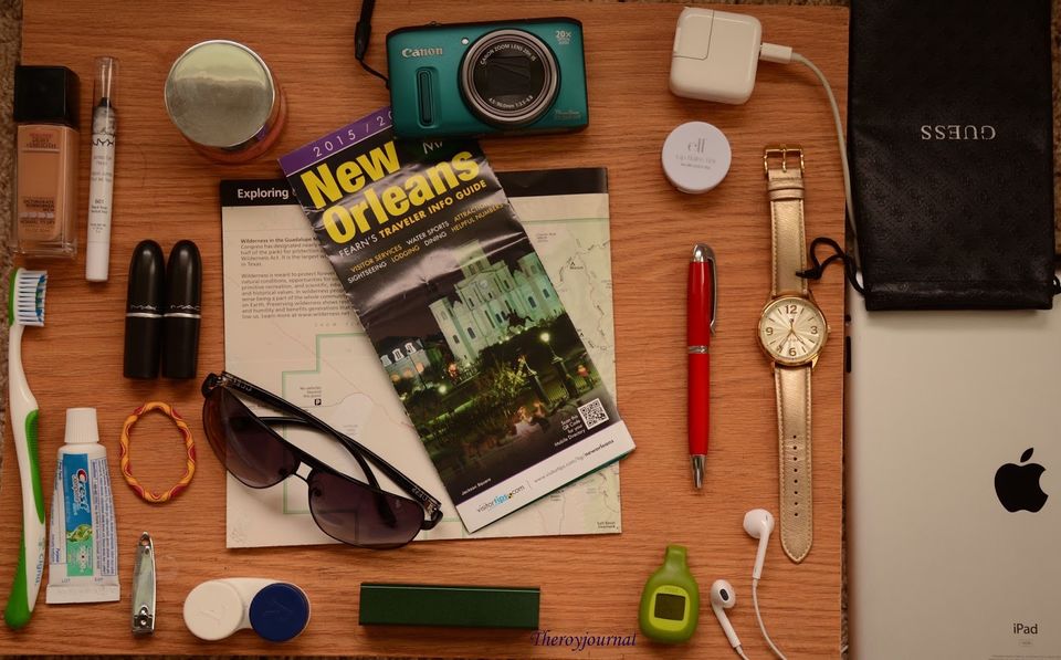 Photo of Travel Essentials 1/1 by Shweta Roy