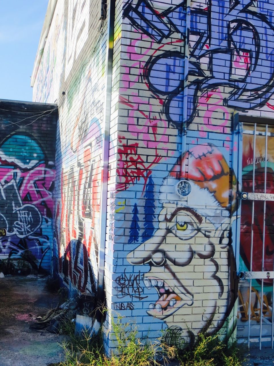 Photo of Houston's gorgeous graffiti !! 11/28 by Shweta Roy