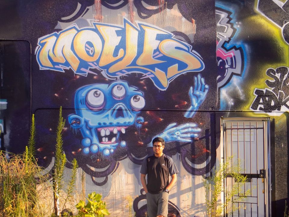 Photo of Houston's gorgeous graffiti !! 14/28 by Shweta Roy