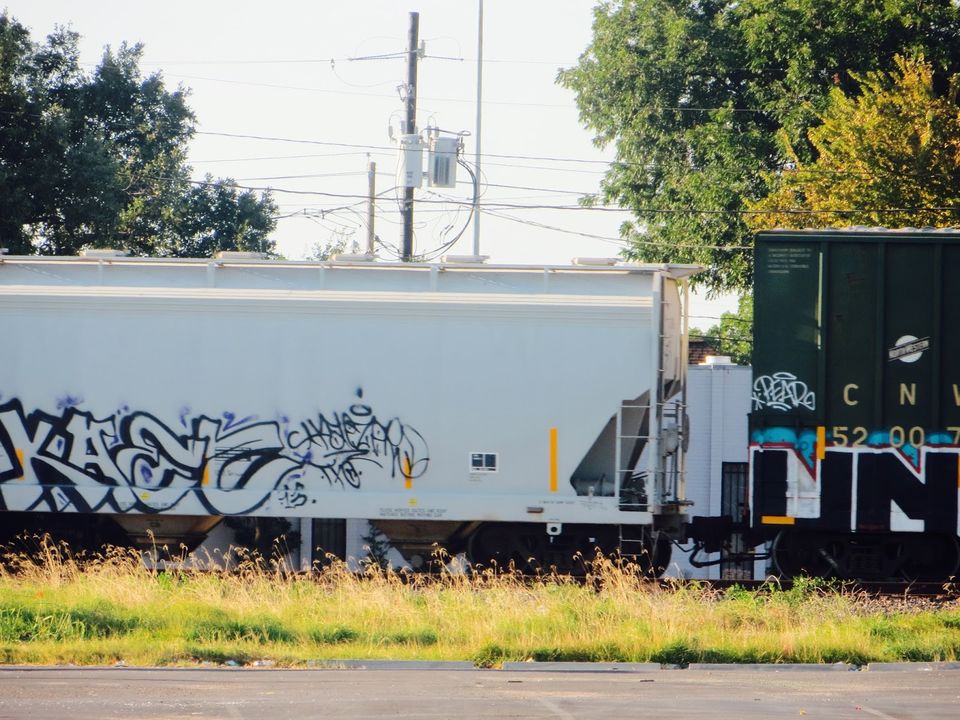 Photo of Houston's gorgeous graffiti !! 16/28 by Shweta Roy