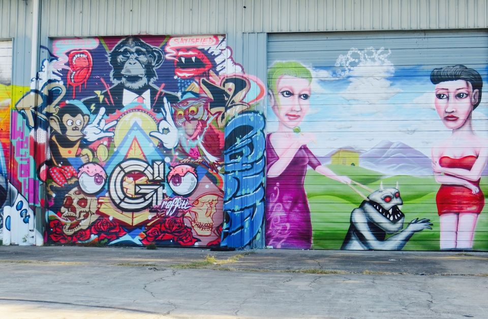 Photo of Houston's gorgeous graffiti !! 22/28 by Shweta Roy