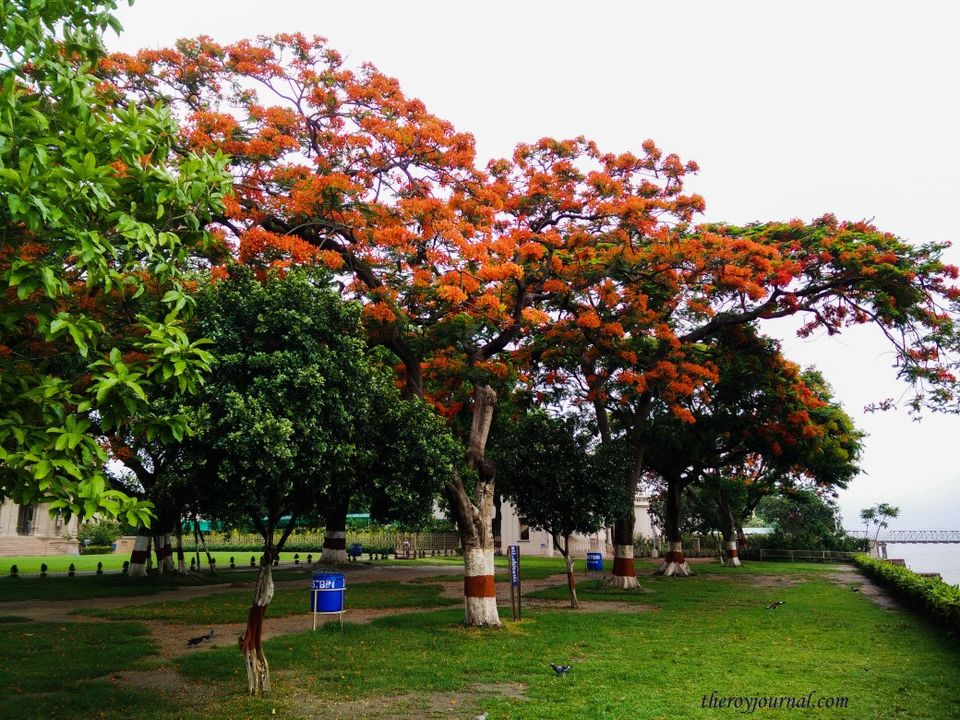 Photo of Snippets of Belur, West Bengal 2/5 by Shweta Roy
