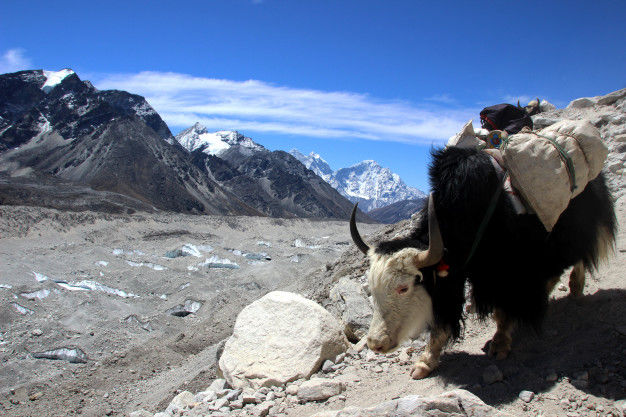 Photo of Tourism In Nepal & The Fascination With Gurkhas 1/1 by Nancy queen