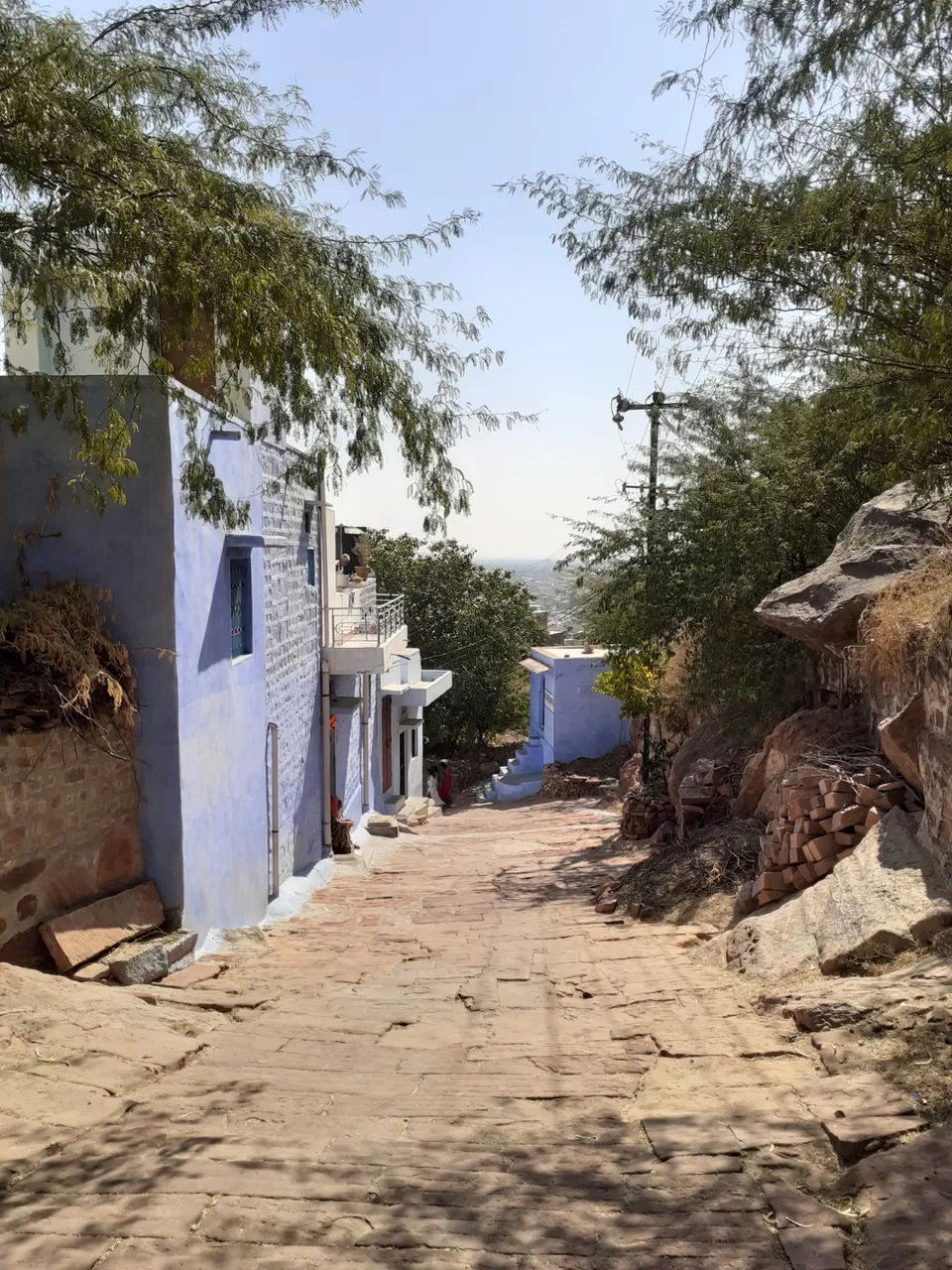 Photo of The blue city , JODHPUR by Travellers Zest
