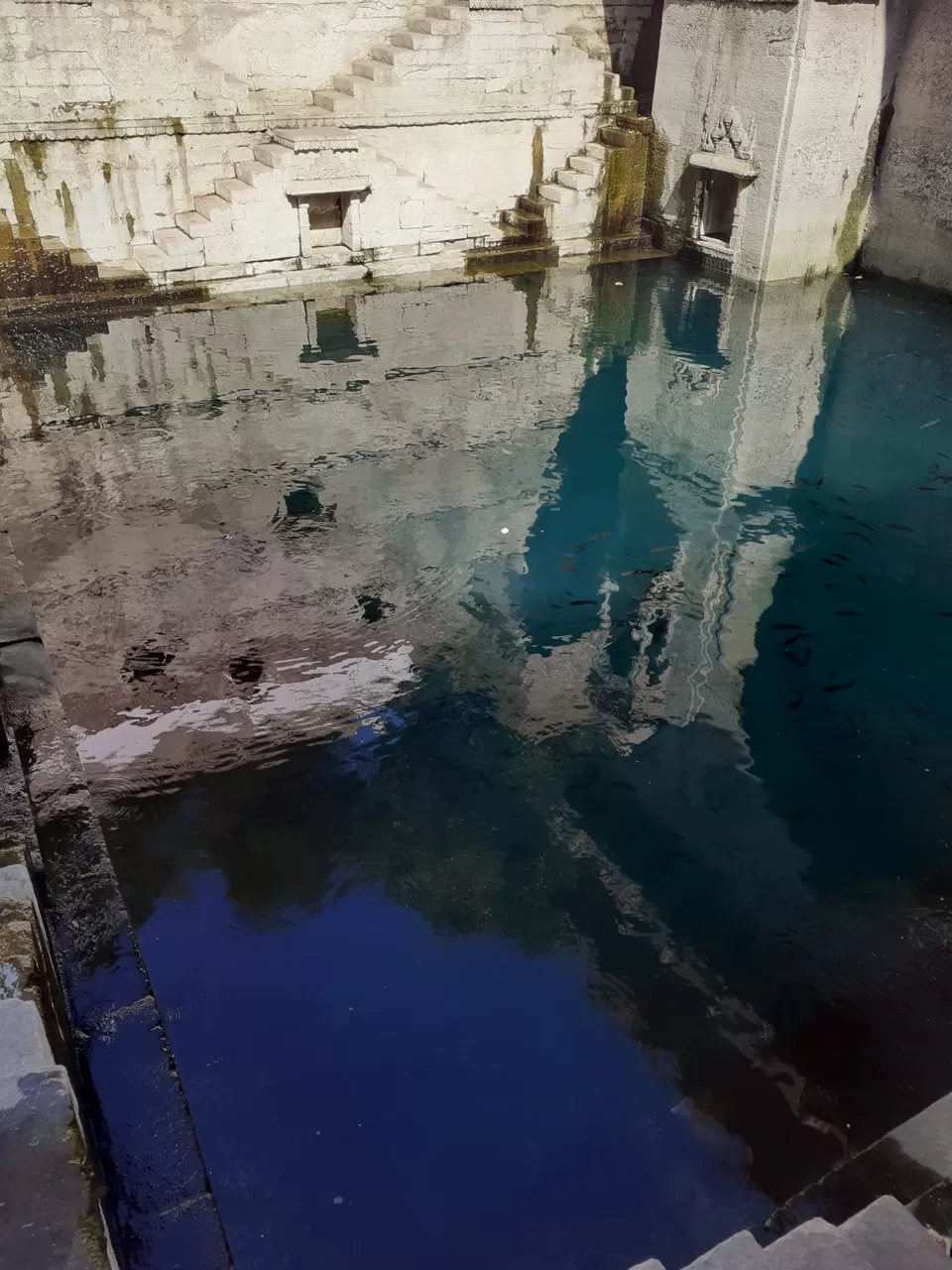 Photo of The blue city , JODHPUR by Travellers Zest