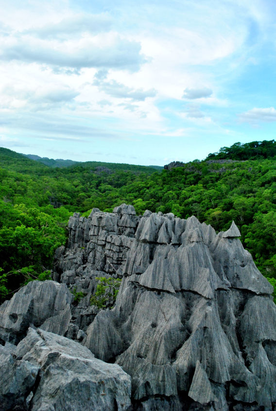 Photo of Ankarana National Park by Jessie Beck