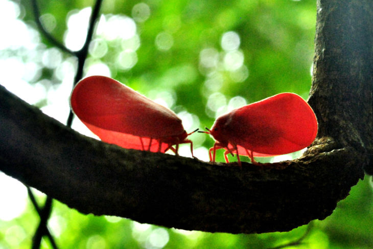 Photo of Ankarana National Park by Jessie Beck