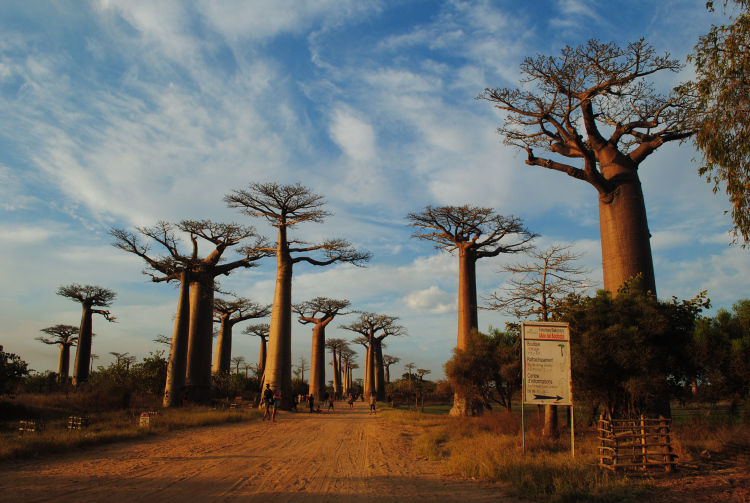 Photo of Morondava, Mahabo, Toliara, Madagascar by Jessie Beck
