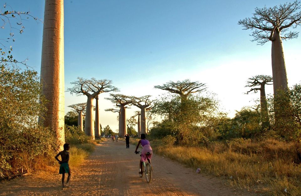 Photo of Madagascar, Africa by Jessie Beck
