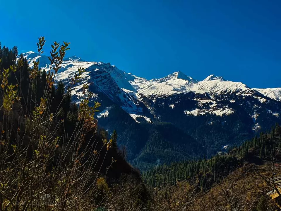 Photo of Freedom Cafe Tosh, Tosh, Himachal Pradesh, India by gauri upganlawar