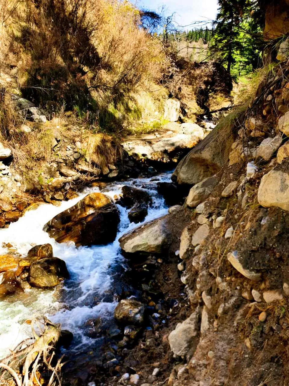 Photo of Waterfall Cafe, Tosh, Tosh, Himachal Pradesh, India by gauri upganlawar