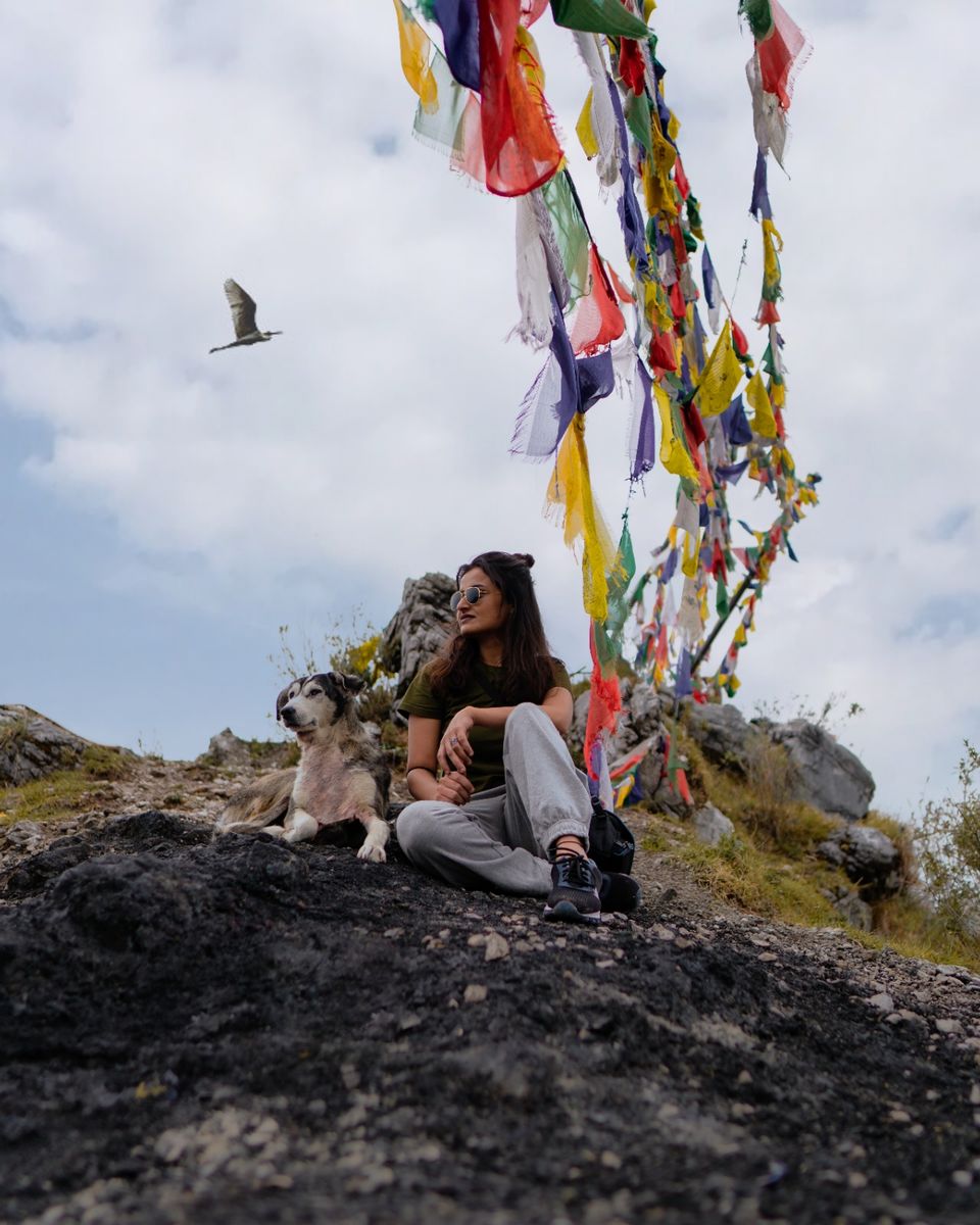 Photo of Dalai Hills by Divya Bhatt | Digital creator