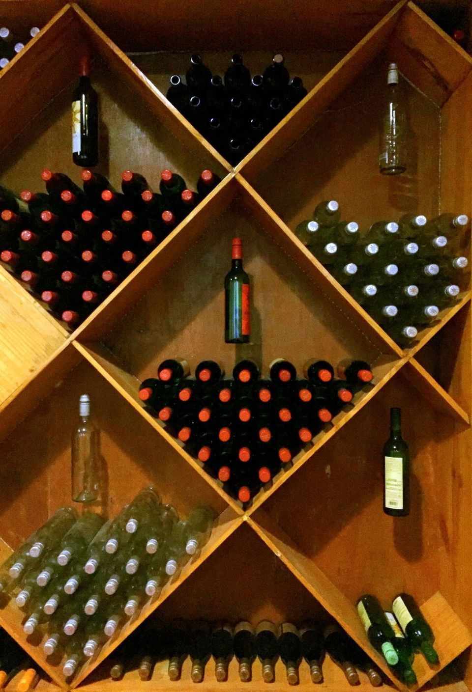 Photo of Sula Vineyards – Learning the Wine Culture 2/5 by Mansi Oza ( Eat Travel Fun)