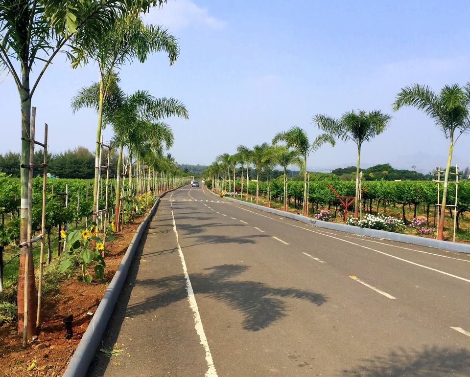 Photo of Sula Vineyards – Learning the Wine Culture 5/5 by Mansi Oza ( Eat Travel Fun)