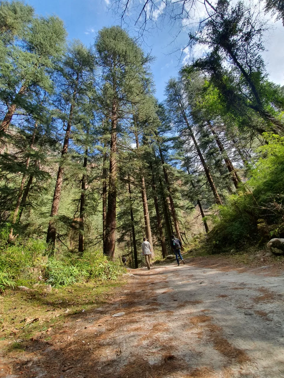 Photo of Grahan, Himachal Pradesh, Kullu, Himachal Pradesh, India by Aravind Vijayan