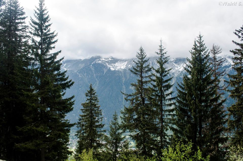 Photo of Day Trip to Chamonix - Mont Blanc 48/59 by N S